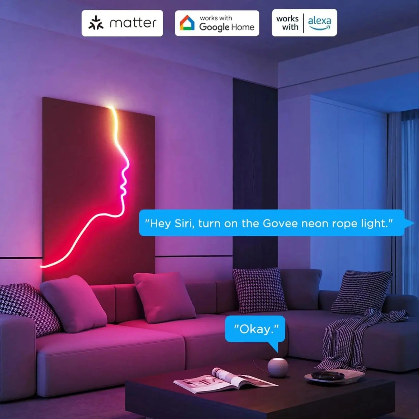 Kit néon LED DIY compatible Matter, Google Home et Alexa avec contrôle vocal